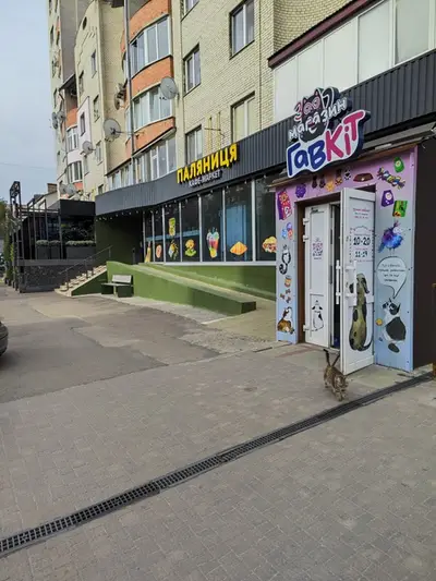 Фото компанії Зоомагазин. Грумінг "ГавКіт"