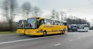 Фото компанії Andreolli bus