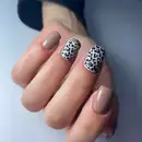 Фото компанії Перукарня "Glamour"
