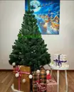 Фото компанії Yalynka Hub