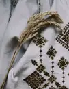 Фото компанії Ведуча "Олена Шульгач"
