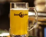 Фото компанії Zivot A Pivo