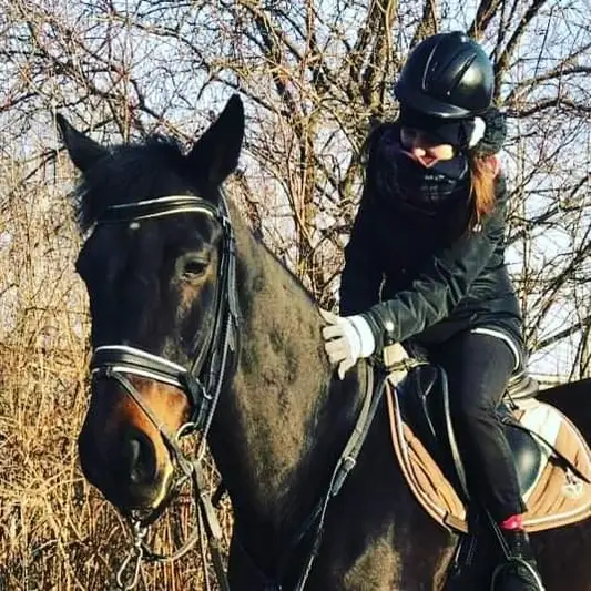 Фото компанії Кінний клуб "Horses Lviv"