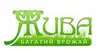 Логотип компанії Магазин "Жива"