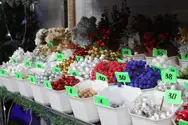 Фото компанії Магазин "Незабудка"