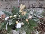 Фото компанії Вівальді