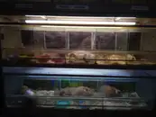 Фото компанії Зоомагазин "Природа"