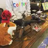 Логотип компанії IQ Coffee