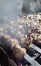 Фото компанії Гриль-бар "Дачний Дворик"