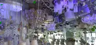 Фото компанії Магазин "Світозар"