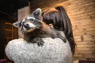 Фото компанії Wild and Mimimi