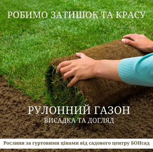 Фото компанії Послуги озеленення та ландшафту