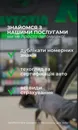 Фото компанії AVTOVIN.CHERNIVTSI