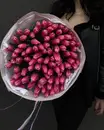Фото компанії AMSTER