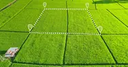 Фото компанії Землевпорядні роботи