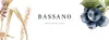 Логотип компанії Bassano Dolceteka