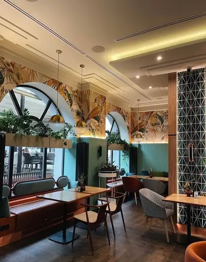 Фото компанії Choo Izakaya