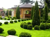 Фото компанії Green Scape