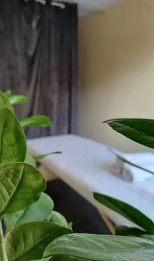 Фото компанії Time_for_yourself_massage.rv