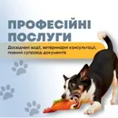 Фото компанії Перевезення тварин закордон