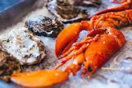 Фото компанії Mushlya Bar