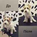 Фото компанії Грумінг-салон "101 Далматинець"