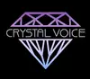 Логотип компанії Вокальна школа "Crystal Voice"