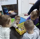 Фото компанії Дитячий центр розвитку "МаМі"
