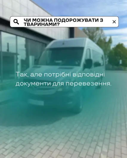 Фото компанії SVS Travel