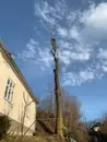 Фото компанії Woodmanservice