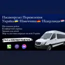 Фото компанії Твій Перевізник