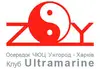 Логотип компанії Тайцзіцюань & Цигун