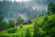Фото компанії Карпати Транс