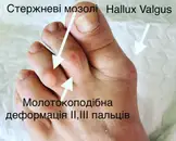 Фото компанії Подолог  "Марія Федушко"