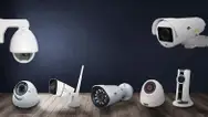 Фото компанії Megavision