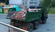 Фото компанії Вивіз будівельного сміття