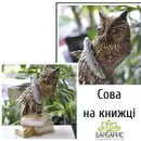 Фото компанії Садовий центр "Барбарис"