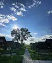 Фото компанії Мангал Парк