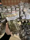 Фото компанії Лікарські рослини