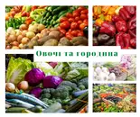 Фото компанії Цитрусовий склад