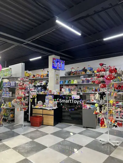 Фото компанії Склад-магазин "Smart Toys"