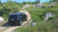 Фото компанії Авто з Америки