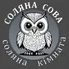 Логотип компанії Соляна кімната "Соляна сова"