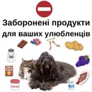 Фото компанії Ветеринарна клініка "SVIt тварин"