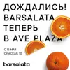 Логотип компанії Barsalata