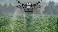 Фото компанії Crop Land