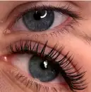 Фото компанії Astelova_lashes