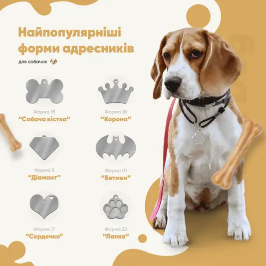 Фото компанії Amulet DOG