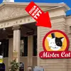 Фото компанії Mister Cat №7