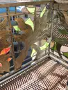 Фото компанії Ексклюзивна художня ковка